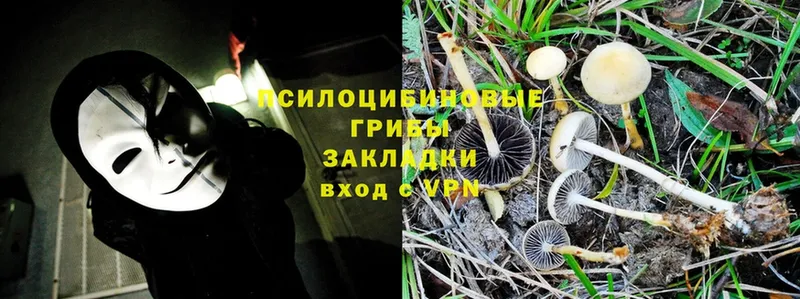 Псилоцибиновые грибы MAGIC MUSHROOMS  Балаково 